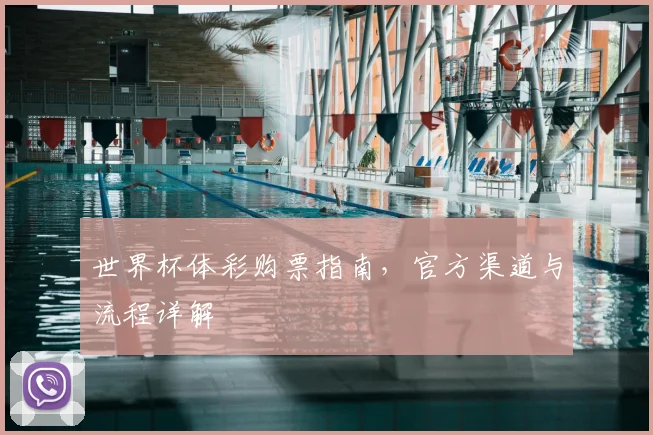 世界杯体彩购票指南，官方渠道与流程详解